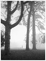 Alexandra-Park-in-the-fog-